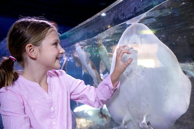 SEA LIFE San Antonio Admission Ticket - The Value of Your Ticket