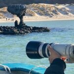 Sea Lions & Mega-Paddleboard Tour in Balandra - Final Thoughts