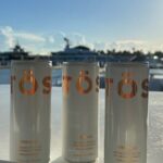 Sea Rocket 3 Hour Intracoastal and Sandbar Adventure - Who Will Love This Experience?