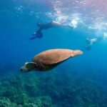 Sea Scooter Snorkeling Guided Tour - Wailea Beach - Final Thoughts — The Real Value of the Maui Sea Scooter Snorkeling Tour