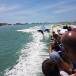 Sea Screamer Boat Cruise in Clearwater Beach with Transport - Exploring the Experience: A Detailed Dive into the Tour