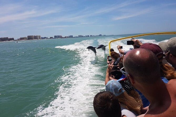 Sea Screamer Boat Cruise in Clearwater Beach with Transport - Exploring the Experience: A Detailed Dive into the Tour