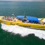 Sea Screamer Cruise - 2 Hour Dolphin Watch Tour in South Carolina - Why This Tour Offers Good Value