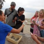 Sea Turtle Release  A Puerto Vallarta Conservation Adventure - The Sum Up
