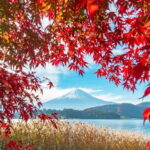 Seasonal Mt. Fuji Scenic Views, Fruit Picking and Ropeway! - The Complete Guide to Your Mt. Fuji Day Tour