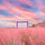 Seasonal Pocheon Full Day Tour with Apple Farm Experience - Who Is This Tour Best For?