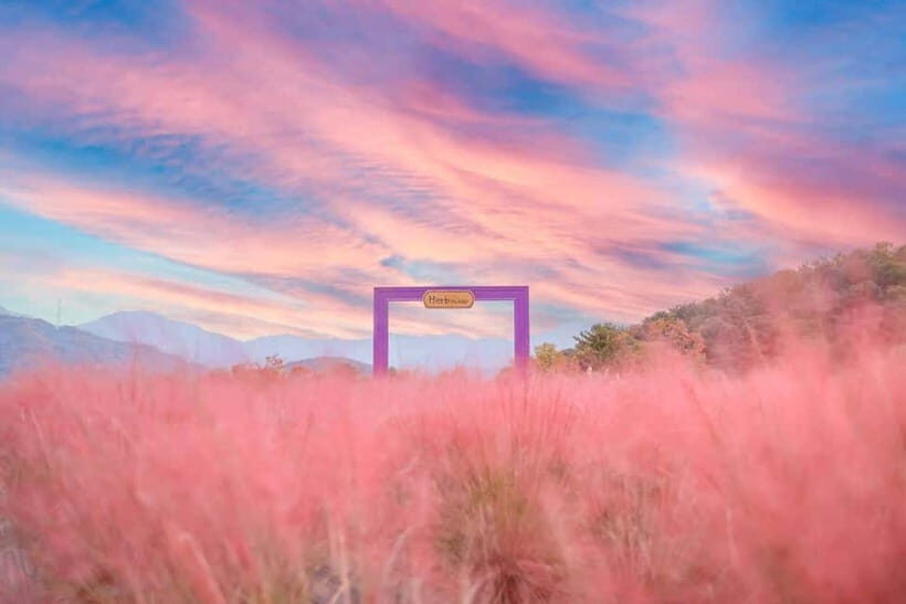 Seasonal Pocheon Full Day Tour with Apple Farm Experience - Who Is This Tour Best For?