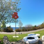 Seattle's Longest Historic & Cultural Walking Tour - Practical Details and What to Expect