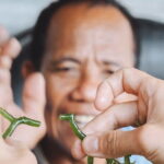 Seaweed Farming Activity and Sightseeing at Diamond Beach - Practical Details and Tips