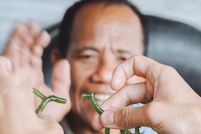 Seaweed Farming Activity and Sightseeing at Diamond Beach - Practical Details and Tips