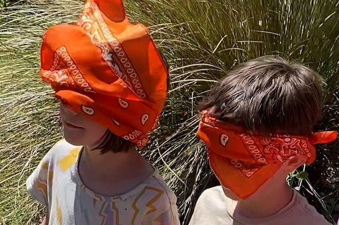 Secrets of the Forest Outdoor Escape Room Experience - A Detailed Look at the Experience