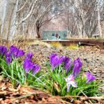 Secrets of the High Line - Why We Think This Tour Offers Great Value