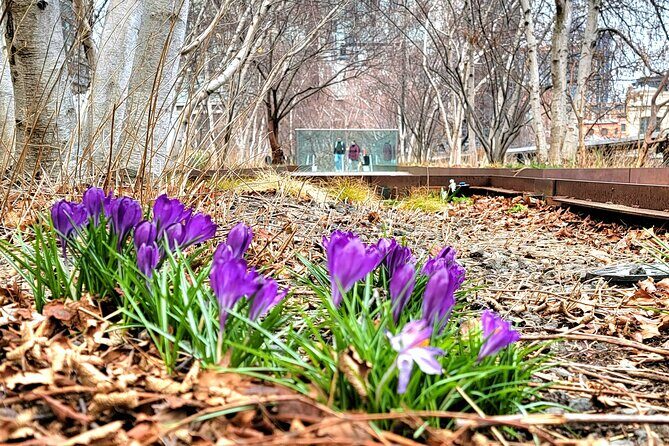 Secrets of the High Line - Why We Think This Tour Offers Great Value