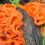 Sedona Creekside of Cathedral Rock Hike With a Private Guide - Who Should Consider This Tour?