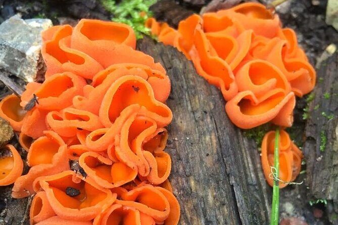 Sedona Creekside of Cathedral Rock Hike With a Private Guide - Who Should Consider This Tour?