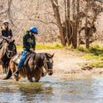 Sedona Horseback Rides At Dead Horse Ranch with River Crossing - Who Should Book This Tour?