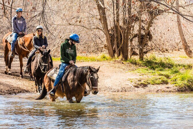 Sedona Horseback Rides At Dead Horse Ranch with River Crossing - Who Should Book This Tour?