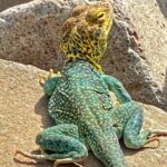 Sedona Sacred Canyons Loop Hike With a Private Guide - Final Thoughts on Value