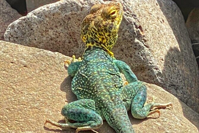 Sedona Sneak-a-Peak Hike With a Private Guide