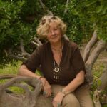 Sedona Soul Tour with Shamanic Guide - An In-Depth Review of the Sedona Soul Tour with Shamanic Guide