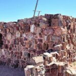 Sedona to Petrified Forest/Painted Desert Adventure PRIVATE TOUR! - A Deep Dive into the Experience