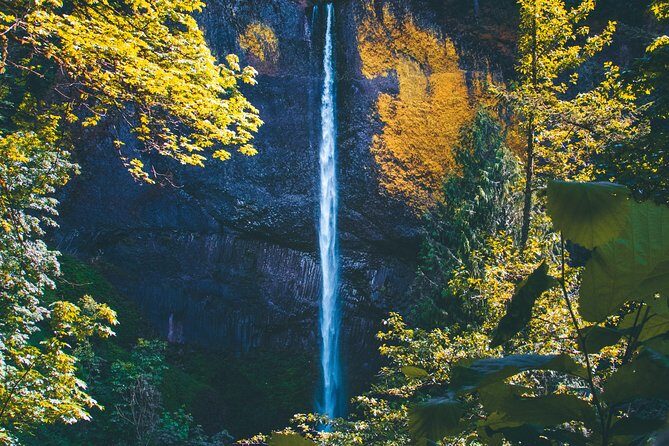 See Multnomah, two waterfalls & Vista House (Transport Included) - A Deep Dive into the Waterfalls and Vista House Tour