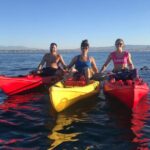 Segway Tours - The Detailed Itinerary: What to Expect