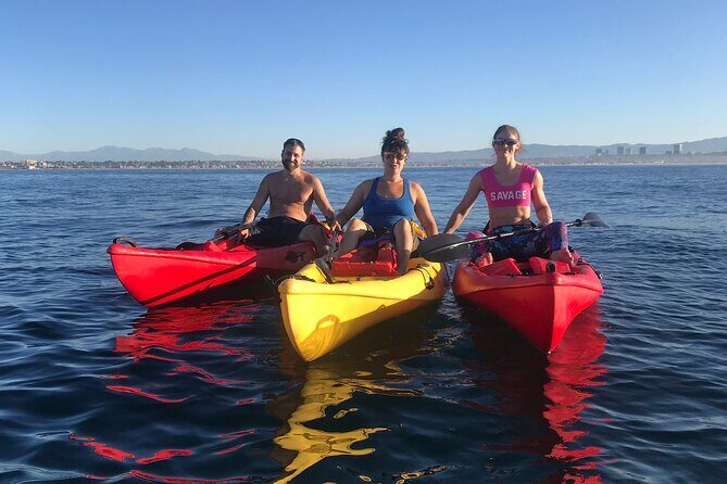 Segway Tours - The Detailed Itinerary: What to Expect