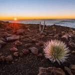 Self-Guided Audio Driving Tour in Haleakala - Why This Tour Works