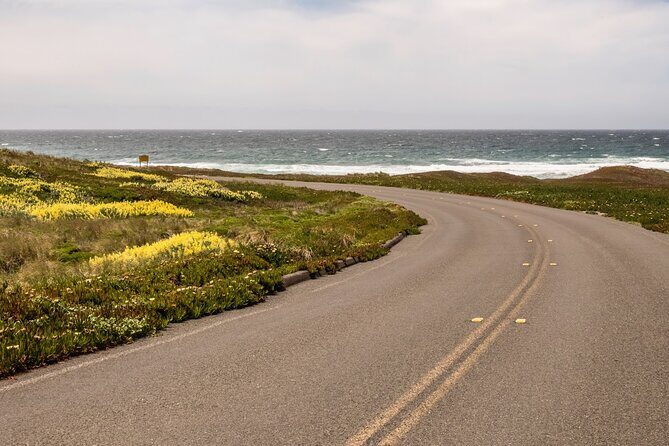 Self-Guided Audio Driving Tour of Point Reyes National Seashore - Who Will Enjoy This Tour?