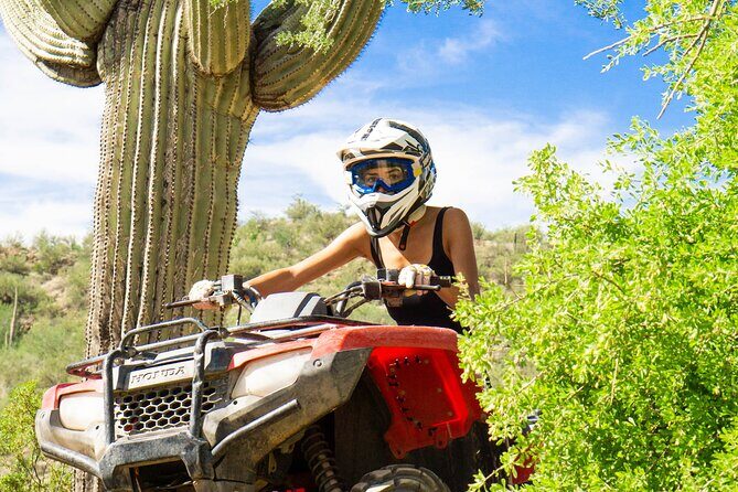 Self-Guided Centipede Desert ATV Rental - Exploring the Desert on Your Own Terms