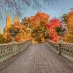 Self Guided Central Park Scavenger Hunt - Practical Tips for Your Central Park Adventure