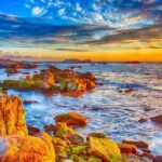 Self Guided Driving Audio Tour of 17 Mile Drive Monterey - Practical Aspects of the Tour