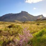 Self Guided Driving Audio Tour of Big Bend National Park - What Travelers Say