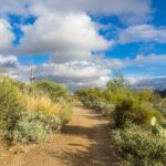 Self Guided Driving Audio Tour of Saguaro National Park - A Deep Dive into the Itinerary