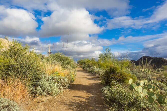 Self Guided Driving Audio Tour of Saguaro National Park - A Deep Dive into the Itinerary