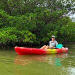 Self Guided EcoTour: Clear/Standard Kayaks -Bonita Springs - A Closer Look at the Self-Guided EcoTour Experience