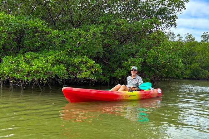 Self Guided EcoTour: Clear/Standard Kayaks -Bonita Springs - A Closer Look at the Self-Guided EcoTour Experience