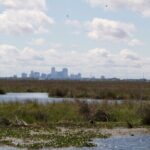 Self Guided Kayak Bayou Swamp Tour - Who Should Consider This Tour?