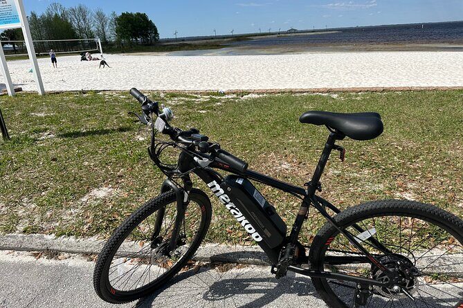 Self Guided Lakefront Tour on Electric Bike in Kissimmee (3 hrs.) - Wildlife and Nature Encounters