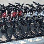 Self Guided Niagara On The Lake E-Bike Wine Tour - Who Will Love This Experience?