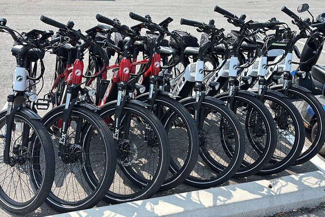 Self Guided Niagara On The Lake E-Bike Wine Tour - Who Will Love This Experience?