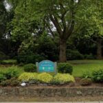 Self-Guided Scavenger Hunt: Beautiful Views of Bellevue - Who Should Consider This Experience?