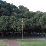 Self-Guided Scavenger Hunt: Lahaina Over The Rainbow - Who Would Love This?