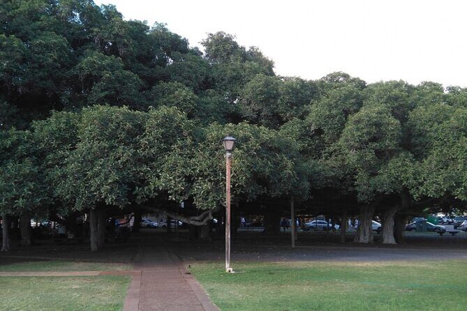 Self-Guided Scavenger Hunt: Lahaina Over The Rainbow - Who Would Love This?