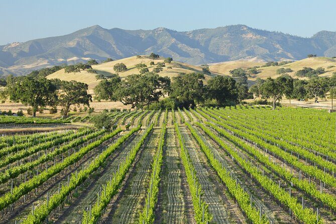 Self Guided Tour of Solvang and Santa Ynez Wine Country - Who Will Love This Tour?