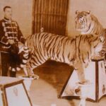 Self-Guided Walking Tour of Benson Park, Hudson, NH - Final Thoughts: Is This Tour Right for You?