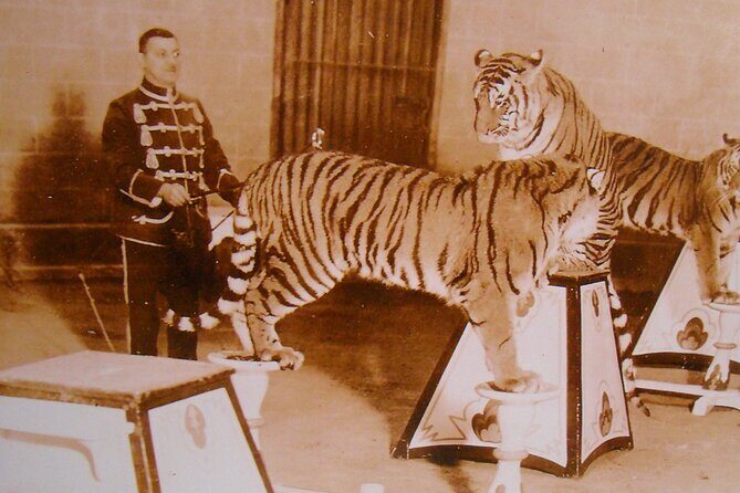 Self-Guided Walking Tour of Benson Park, Hudson, NH - Final Thoughts: Is This Tour Right for You?