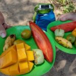 Selva y Playas Exóticas, Senderismo en Puerto Vallarta - Who Should Book This Tour?