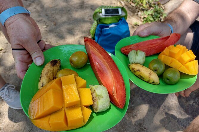 Selva y Playas Exóticas, Senderismo en Puerto Vallarta - Who Should Book This Tour?